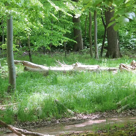 Sund & Skov Hotel 3*